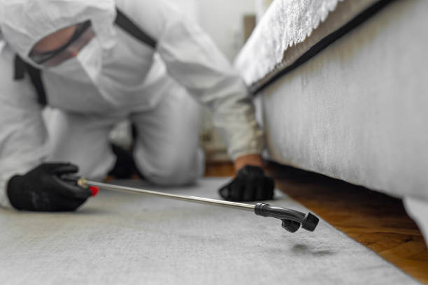 Professional Bed Bug Control technician working in Jamaica Beach, TX