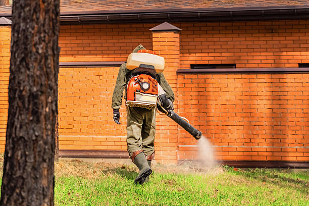 Trusted Mosquito Control service in Jamaica Beach, TX - Nex Pest Control